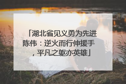 湖北省见义勇为先进陈伟：逆火而行伸援手，平凡之躯亦英雄